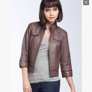 Hinge Taupe Cropped Leather Jacket